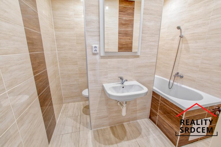 mikita-roman-realitni-makler-karvina-podnajem-byt