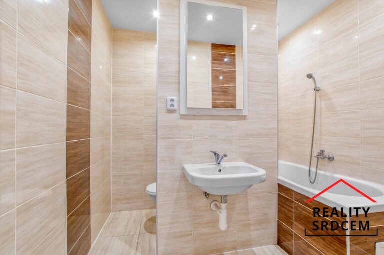 mikita-roman-realitni-makler-karvina-podnajem-byt