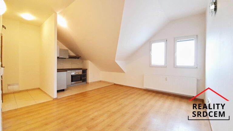 mikita-roman-realitni-makler-frydek-mistek-pronajem-byt