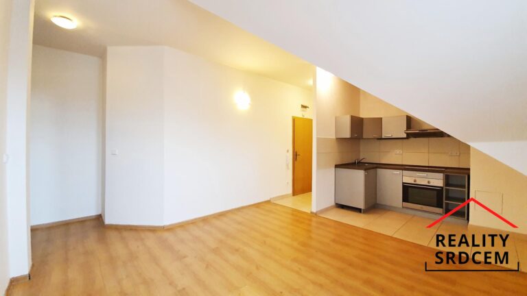 mikita-roman-realitni-makler-frydek-mistek-pronajem-byt