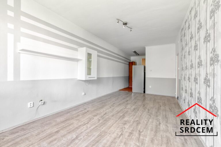 mikita-roman-realitni-makler-frydek-mistek-pronajem-byt