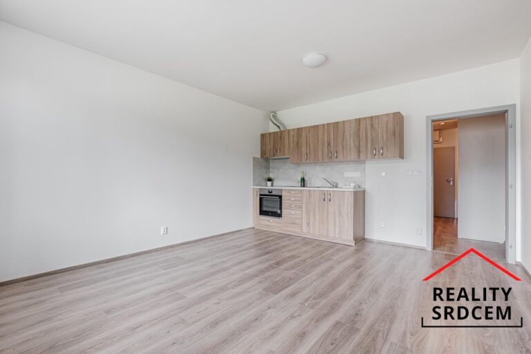 mikita-roman-realitni-makler-frydek-mistek-pronajem-novostavba-byt