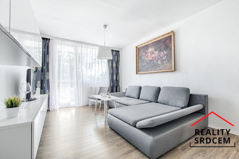 mikita-roman-realitni-makler-frydek-mistek-pronajem-byt