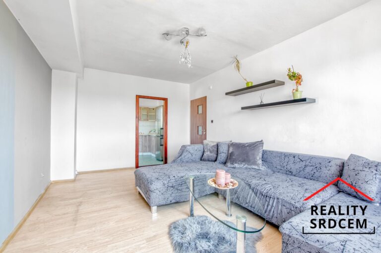 Michal-Lesnak-profesionalni-realitni-makler-prodej-bytu-nemovitosti-ostrava-realitni-kancelar-delame