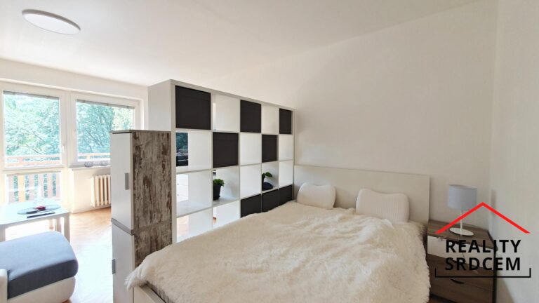 mikita-roman-realitni-makler-frydek-mistek-pronajem-byt