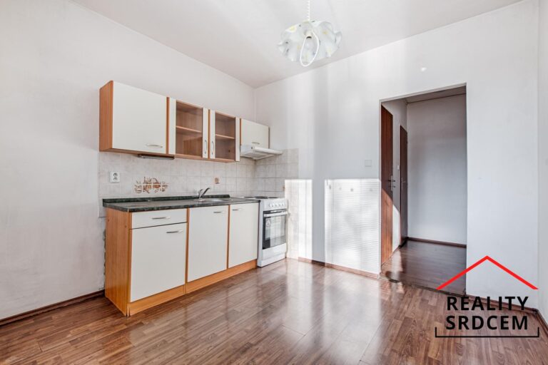 Dlem-reality-srdem-prodej-pronjem-bytu-7.jpg