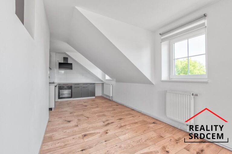 Michal-Lesnak-realitni-makler-prodej-pronajem-nemovitosti-realitni-kancelar-delame-reality-srdcem