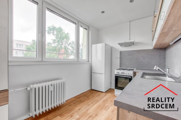 mikita-roman-realitni-makler-frydek-mistek-pronajem-byt