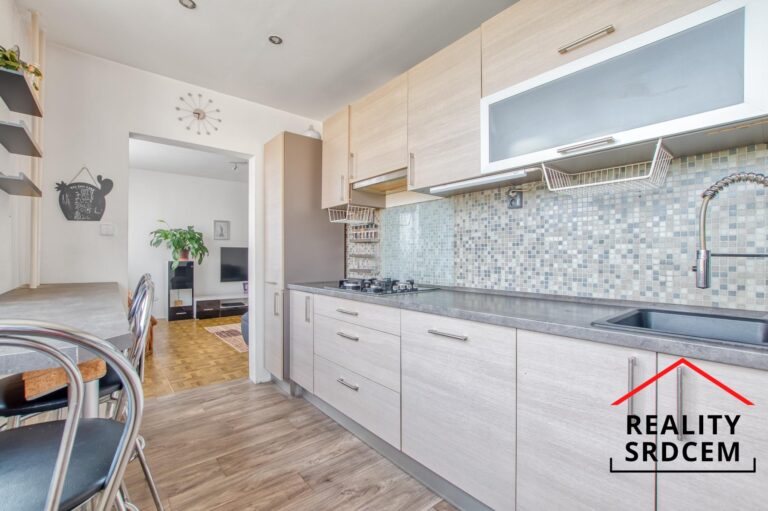 mikita-roman-realitni-makler-frydek-mistek-prodej-byt