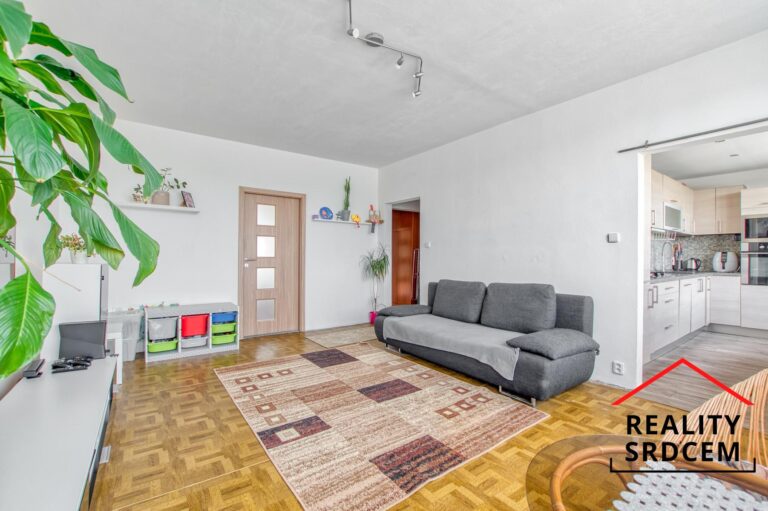 mikita-roman-realitni-makler-frydek-mistek-prodej-byt