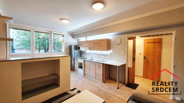 mikita-roman-realitni-makler-frydek-mistek-pronajem-byt