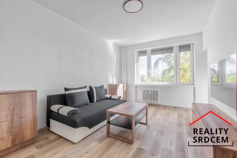 mikita-roman-realitni-makler-frydek-mistek-pronajem-byt