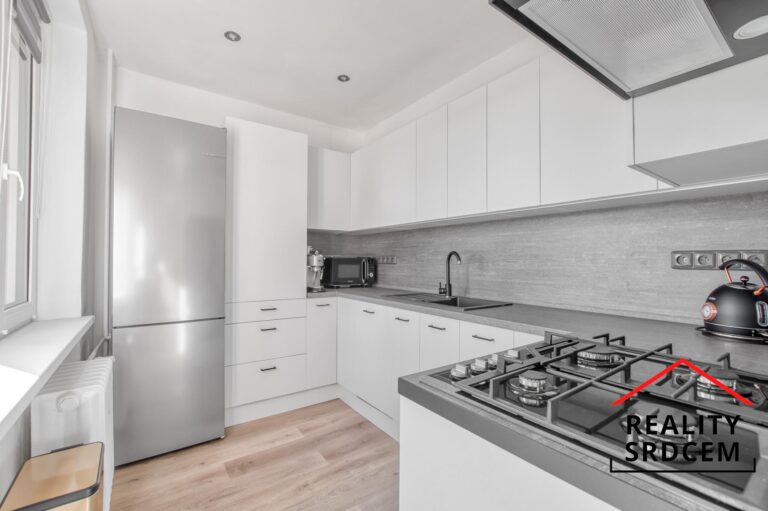 mikita-roman-realitni-makler-frydek-mistek-pronajem-byt