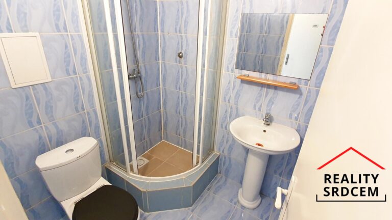 mikita-roman-realitni-makler-frydek-mistek-pronajem-byt