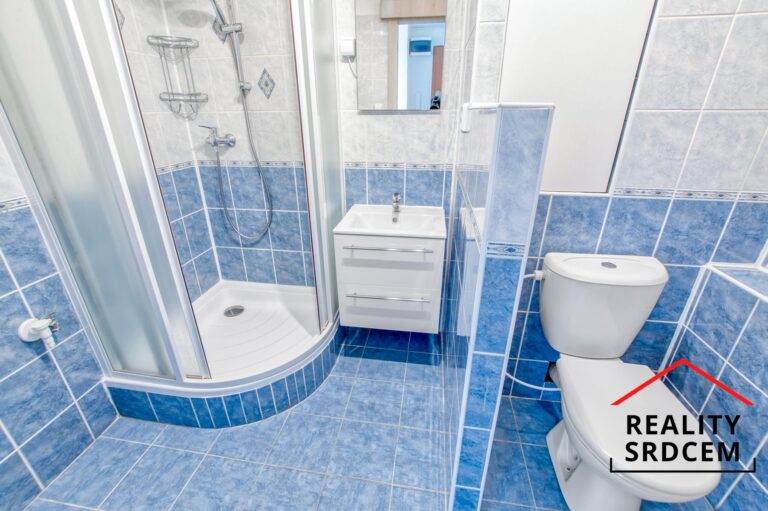 mikita-roman-realitni-makler-frydek-mistek-pronajem-byt