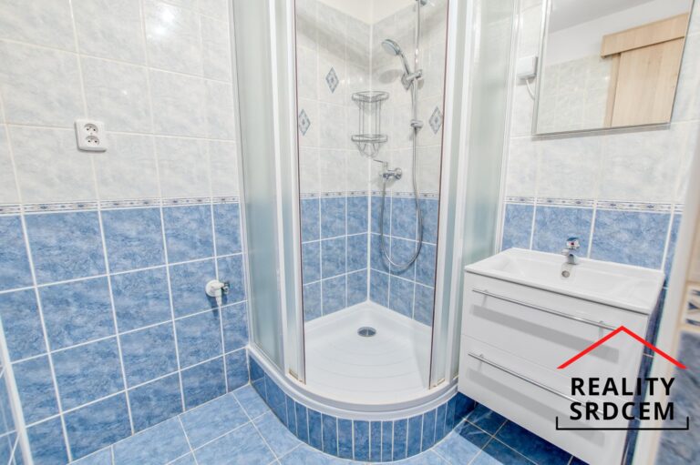 mikita-roman-realitni-makler-frydek-mistek-pronajem-byt