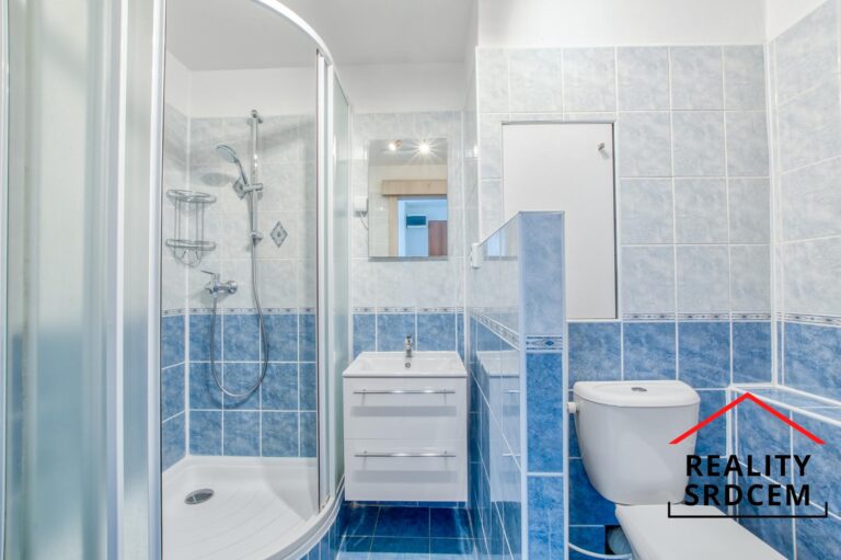 mikita-roman-realitni-makler-frydek-mistek-pronajem-byt