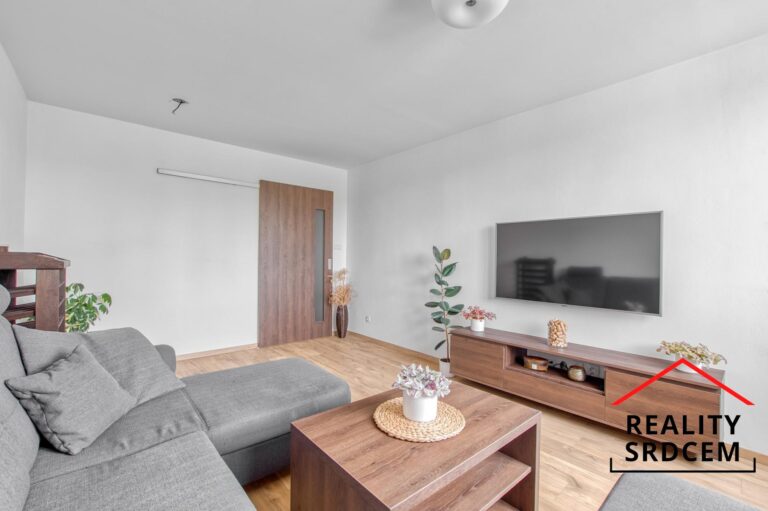 Michal-Lesk-realitn-makl-prodej-pronjem-bytu-ostrava-realitn-kancel-dlme-reality-srdcem-p