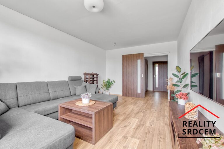 Michal-Lesk-realitn-makl-prodej-pronjem-bytu-ostrava-realitn-kancel-dlme-reality-srdcem-p