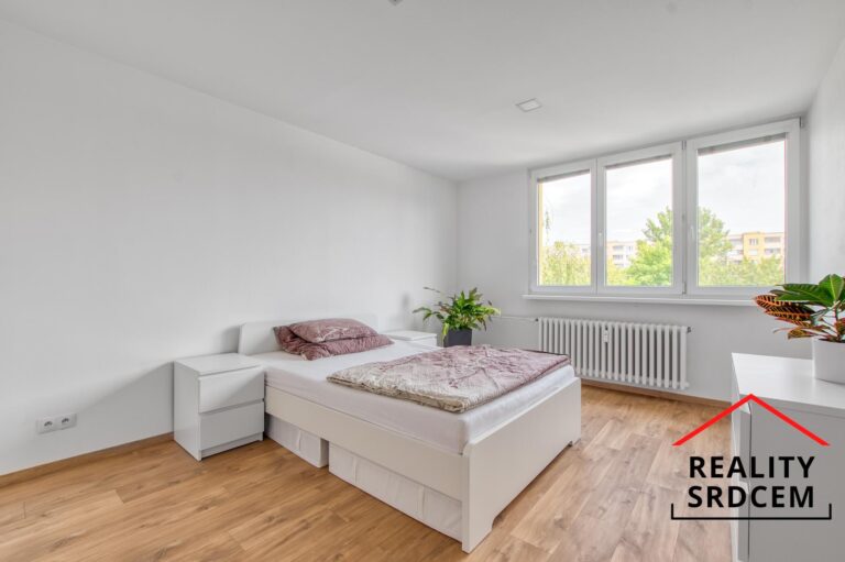 Michal-Lesk-realitn-makl-prodej-pronjem-bytu-ostrava-realitn-kancel-dlme-reality-srdcem-p