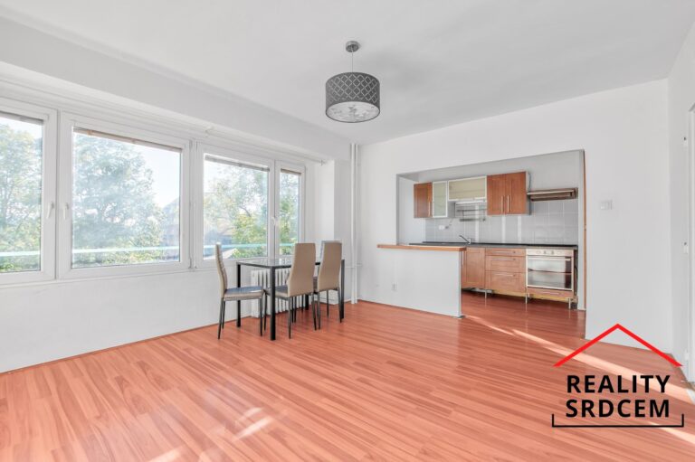 mikita-roman-realitni-makler-frydek-mistek-pronajem-byt