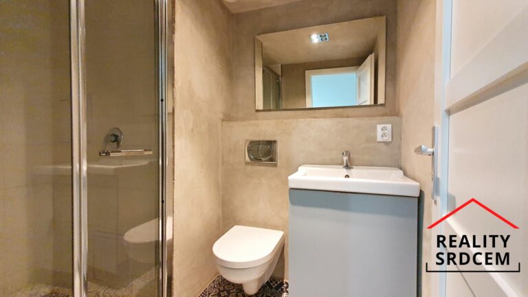 mikita-roman-realitni-makler-frydek-mistek-pronajem-byt