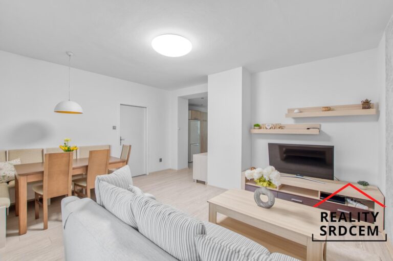 Michal-Lesnak-profesionalni-realitni-makler-prodej-pronajem-sprava-nemovitosti-realitni-kancelar-del