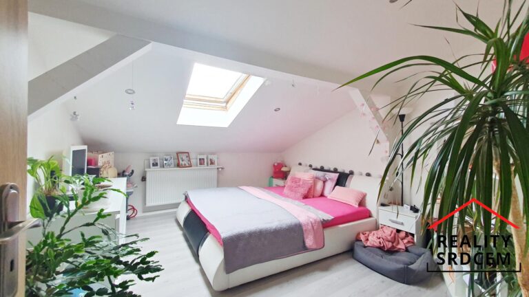 mikita-roman-realitni-makler-ostrava-marianske-hory-pronajem-podkrovni-byt