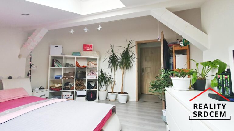 mikita-roman-realitni-makler-ostrava-marianske-hory-pronajem-podkrovni-byt