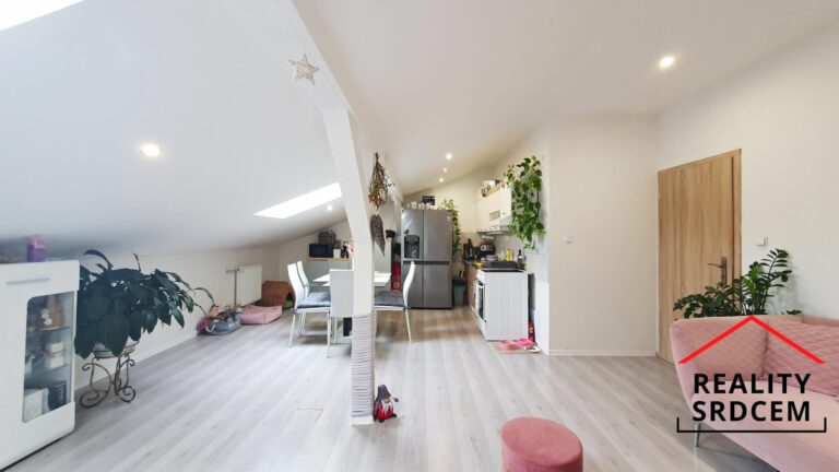 mikita-roman-realitni-makler-ostrava-marianske-hory-pronajem-podkrovni-byt