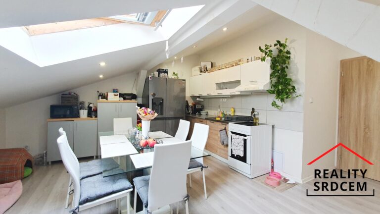 mikita-roman-realitni-makler-ostrava-marianske-hory-pronajem-podkrovni-byt