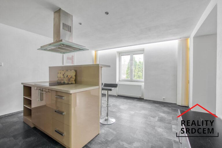 mikita-roman-realitni-makler-frydek-mistek-pronajem-byt