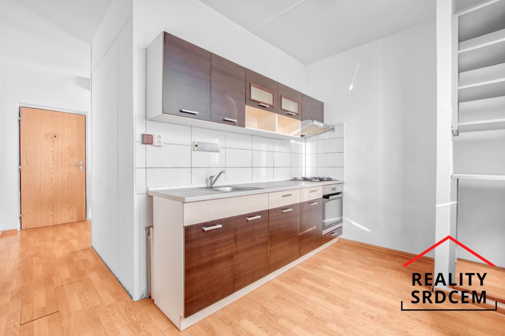 Michal-Lesk-realitn-makl-prodej-bytu-pronjem-nemovitosti-Orlov-profesionln-realitn-makl