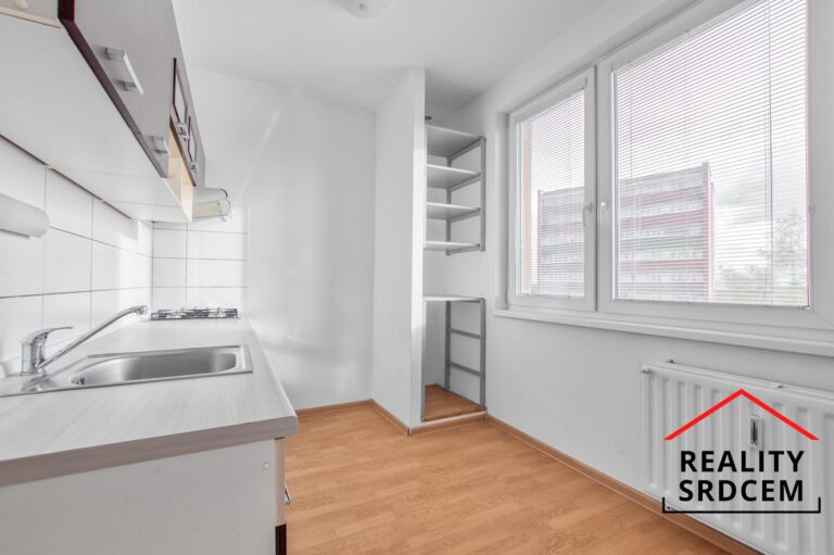 Michal-Lesk-realitn-makl-prodej-bytu-pronjem-nemovitosti-Orlov-profesionln-realitn-makl