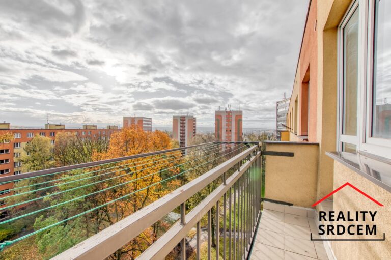 Michal-Lesk-realitn-makl-prodej-bytu-pronjem-nemovitosti-Orlov-profesionln-realitn-makl