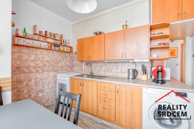 mikita-roman-realitni-makler-havirov-prodej-byt