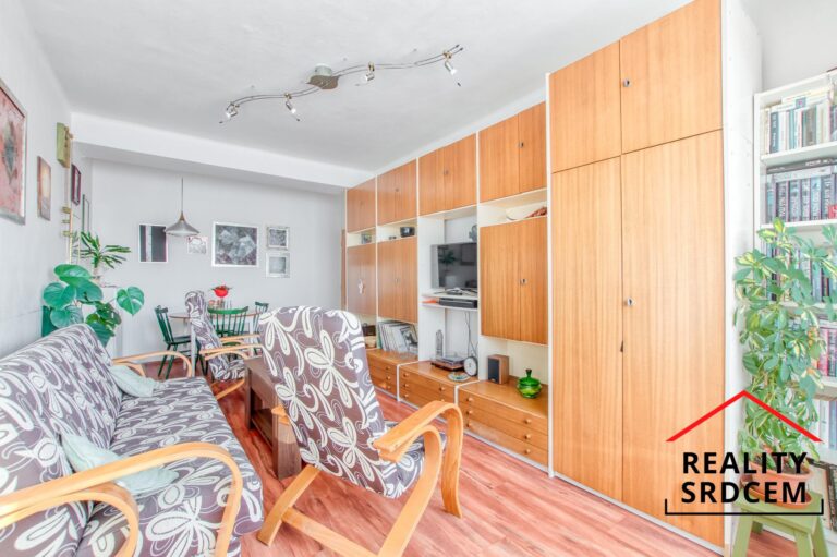 mikita-roman-realitni-makler-havirov-prodej-byt