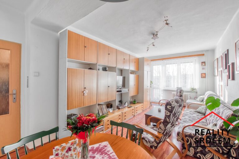 mikita-roman-realitni-makler-havirov-prodej-byt