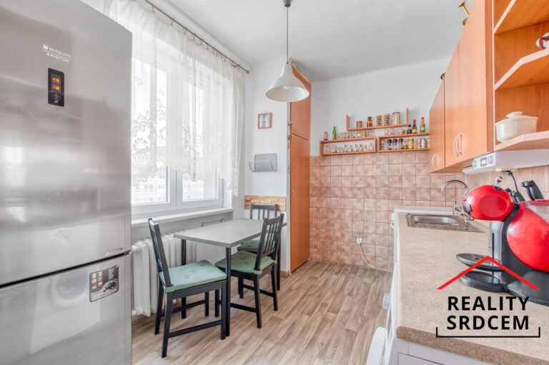 mikita-roman-realitni-makler-havirov-prodej-byt