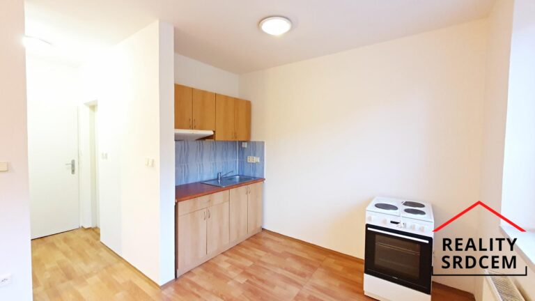 mikita-roman-realitni-makler-frydek-mistek-pronajem-byt