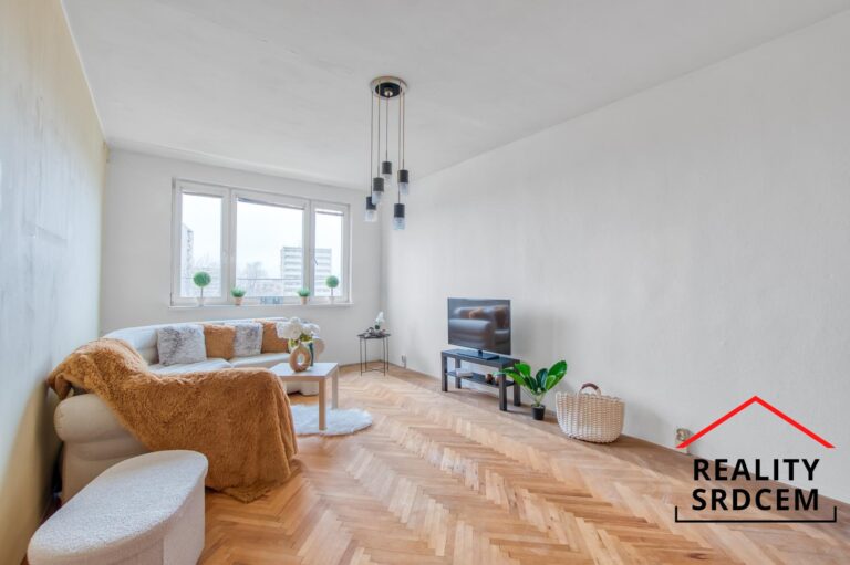 Michal-Lesnak-profesionalni-realitni-makler-prodej-nemovitosti-realitni-kancelar-delame-reality-srdc