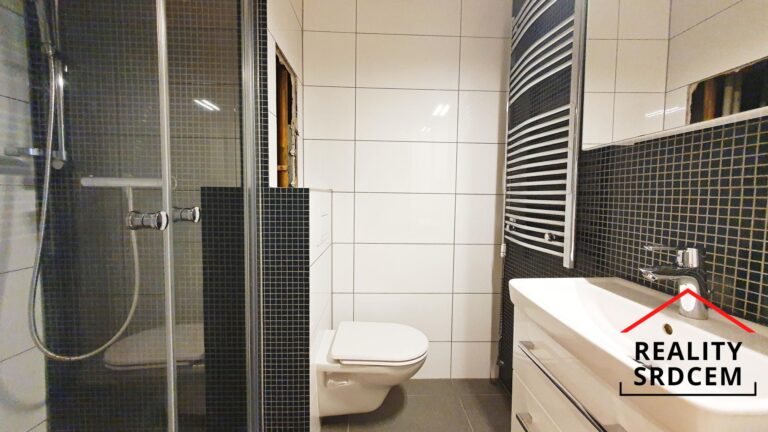 mikita-roman-realitni-makler-novy-jicin-pronajem-byt