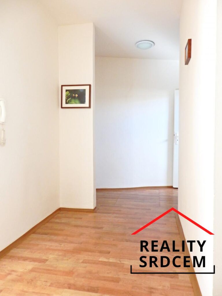 mikita-roman-realitni-makler-frydek-mistek-pronajem-byt