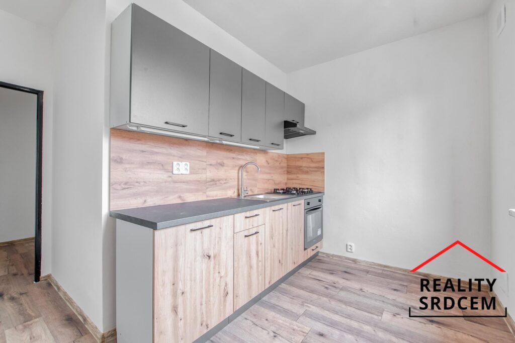 mikita-roman-realitni-makler-frydek-mistek-pronajem-byt