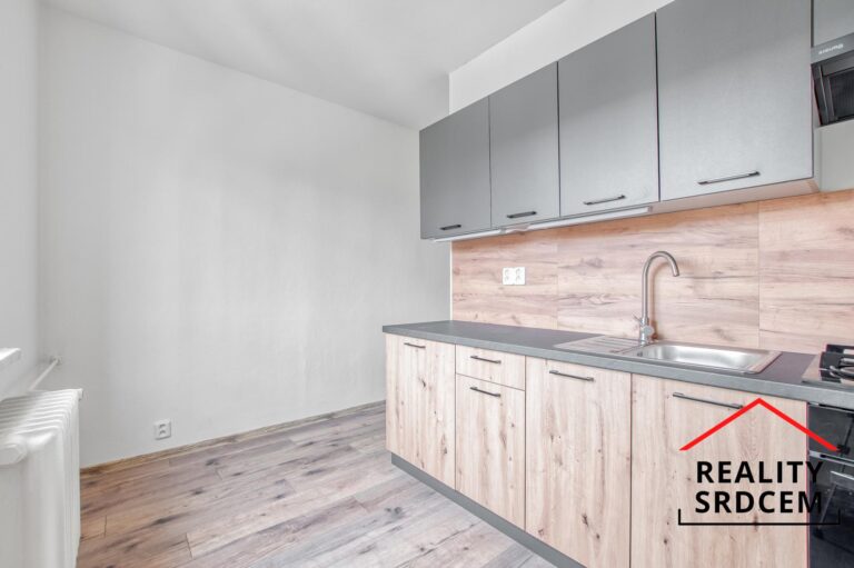 mikita-roman-realitni-makler-frydek-mistek-pronajem-byt