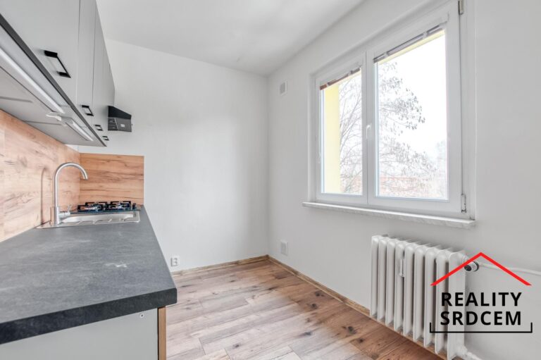 mikita-roman-realitni-makler-frydek-mistek-pronajem-byt