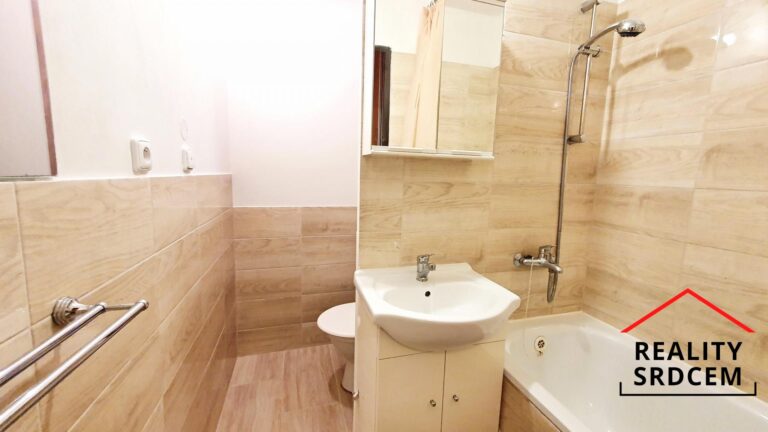 mikita-roman-realitni-makler-frydek-mistek-pronajem-byt