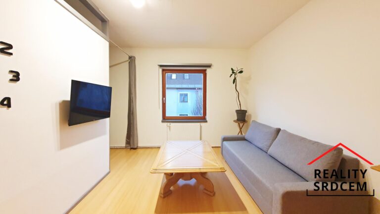 mikita-roman-realitni-makler-frydek-mistek-pronajem-byt