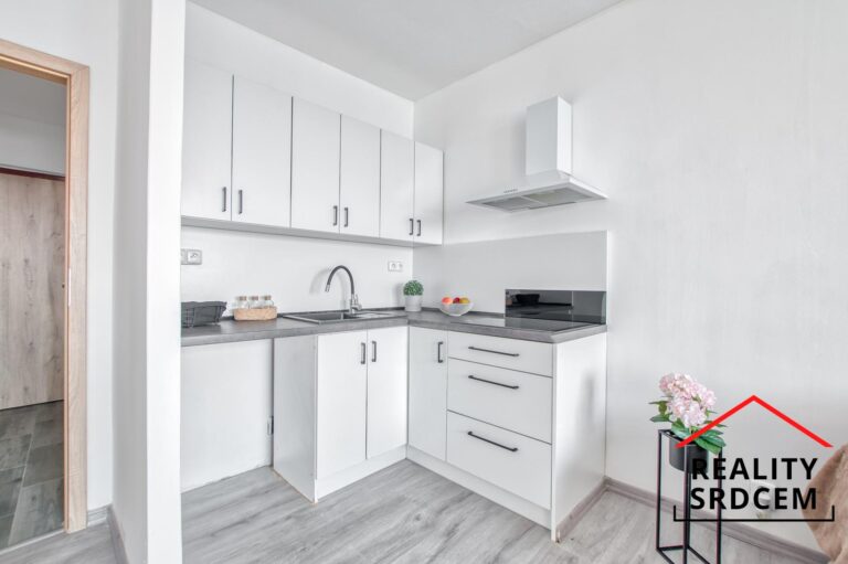 Michal-lesk-profesionln-realitn-makl-prodej-pronjem-nemovitost-dlme-reality-srdcem-realit