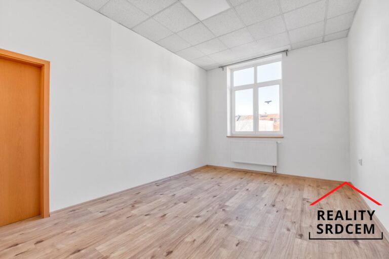 Michal-Lesnak-profesionalni-realitni-makler-prodej-pronajem-nemovitosti-realitni-kancelar-delame-rea